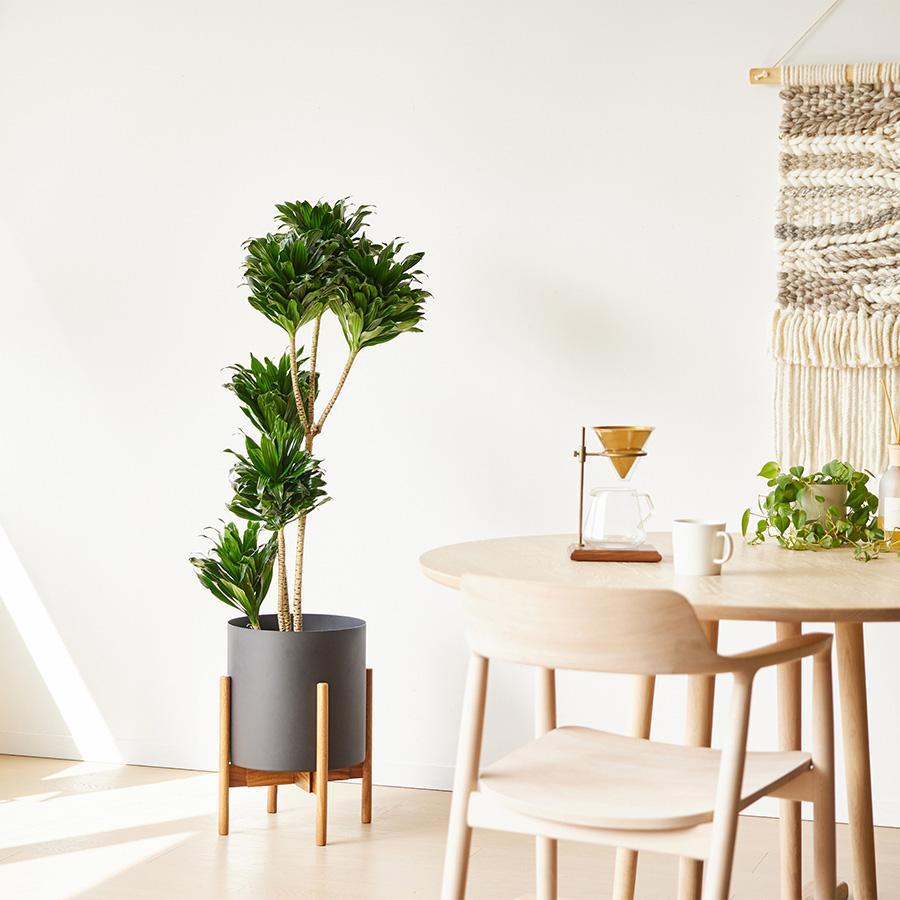 YAMATEI | プラントポット / フェルム シリンダー （直径31cm