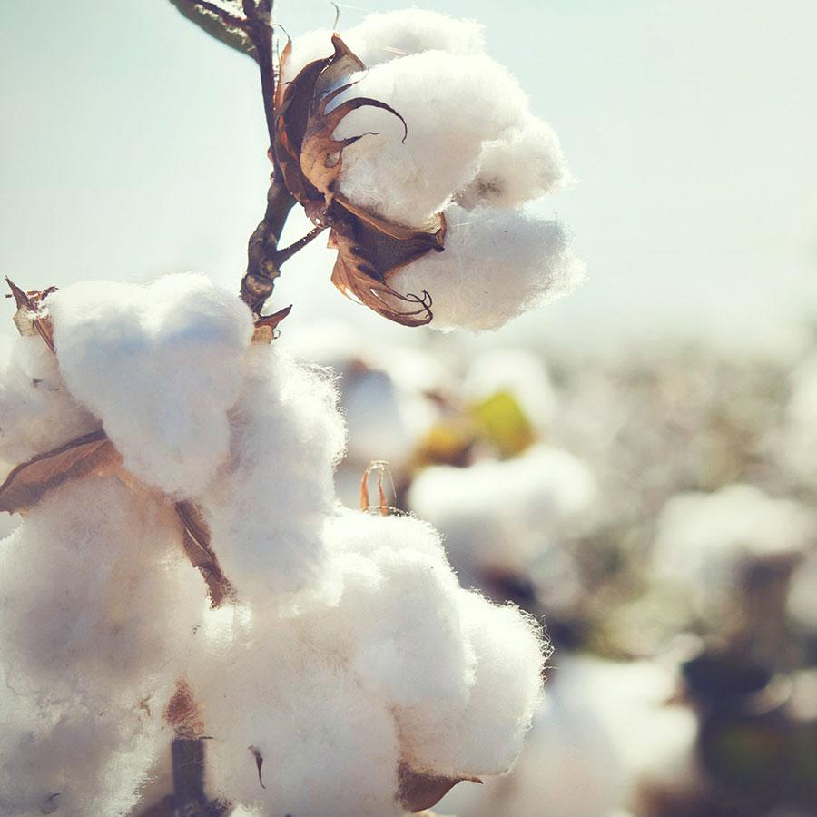 CULTI | TESSUTO カーディフューザー LEATHER ORANGE｜【公式】ACTUS