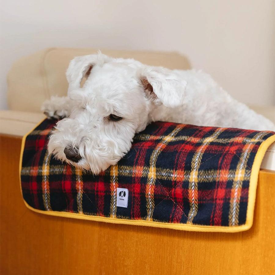 Orne de Feuilles｜フォイヌ カフェマット レッド｜【公式】ACTUS