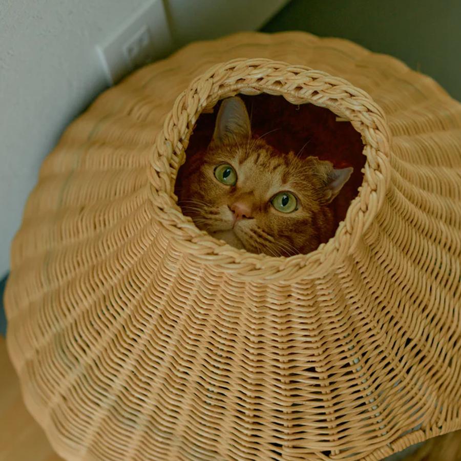 Orne de Feuilles｜オルネコ ガーリックネコハウス｜【公式】ACTUS