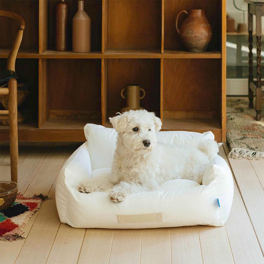 Orne de Feuilles｜フォイヌ ドッグソファ ホワイト｜【公式】ACTUS