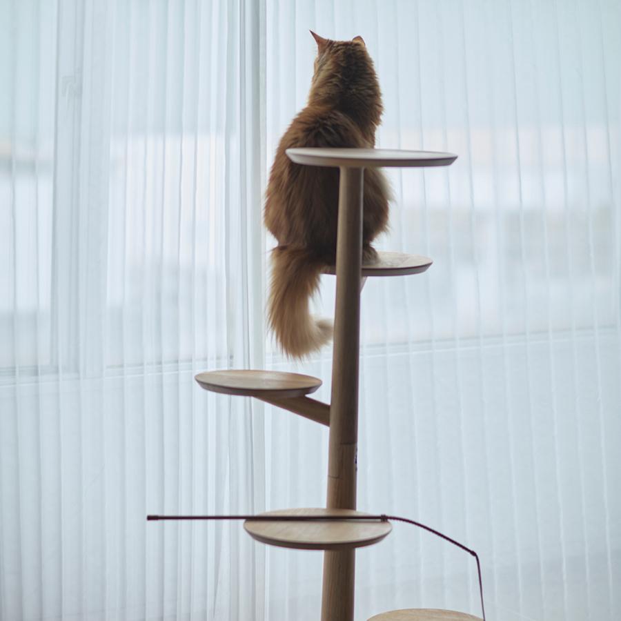 &CAT | KINOBORI cat tower｜【公式】ACTUS online｜家具