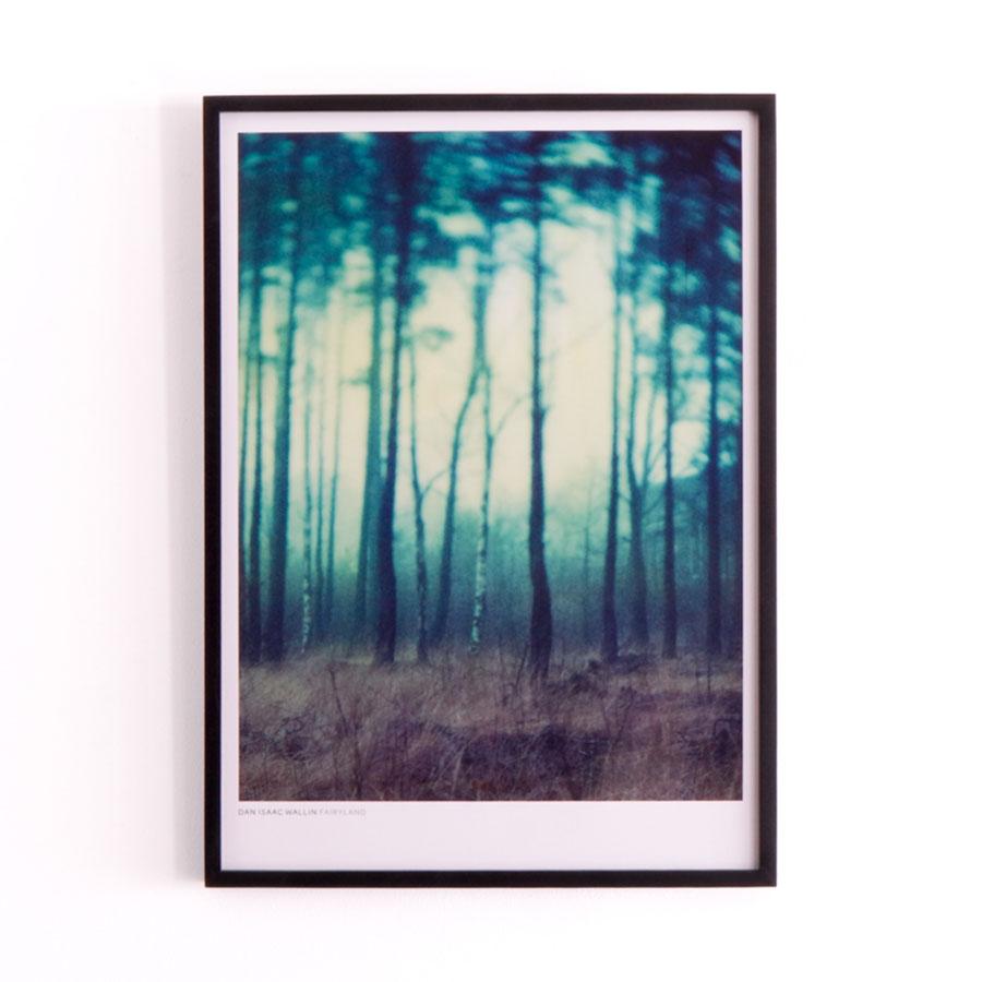 KNAPFORD POSTER MARKET | Dan Isaac Wallin / FAIRYLAND 52.7 x