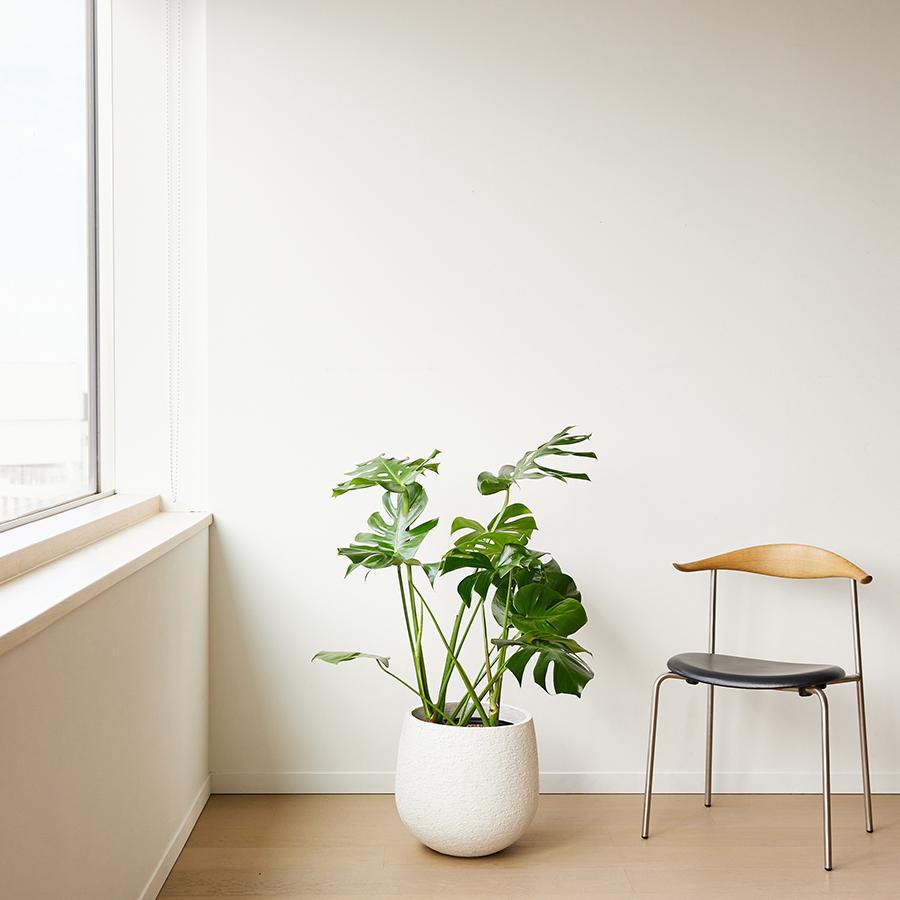 stem | プランターカバー F1806 Lサイズ （直径36cm） ホワイト