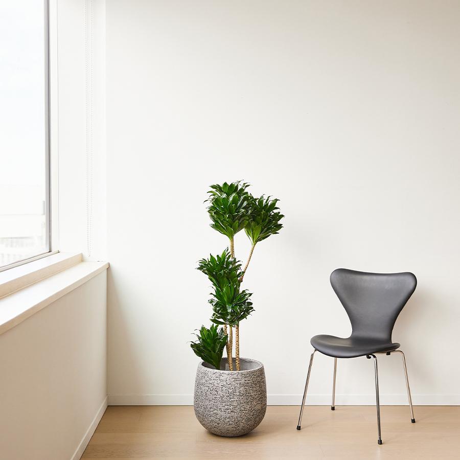 stem | プランターカバー F1806 Lサイズ （直径36cm） グレー｜【公式