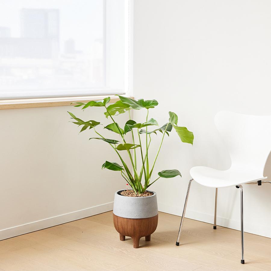 NODERIUM | プランターカバー 脚付き（直径25cm）グレー｜【公式