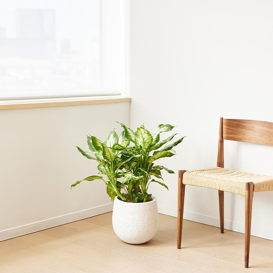 stem | プランターカバー F1805 Mサイズ （直径28cm） ホワイト