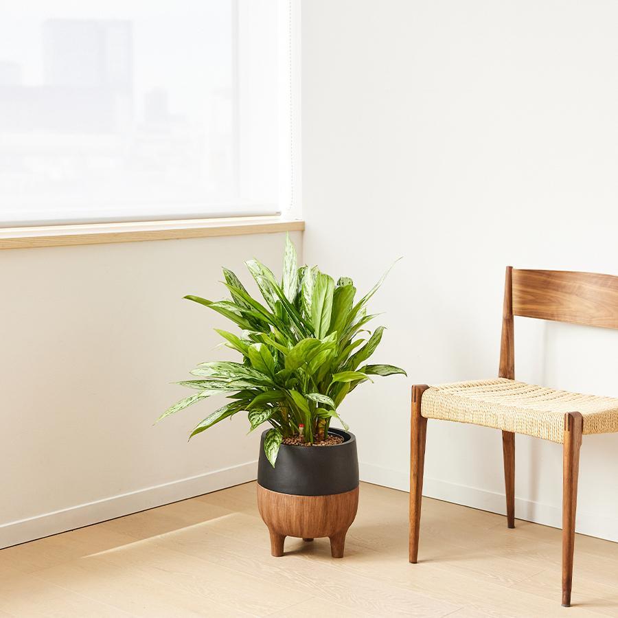 NODERIUM | プランターカバー 脚付き（直径25cm）ブラック｜【公式