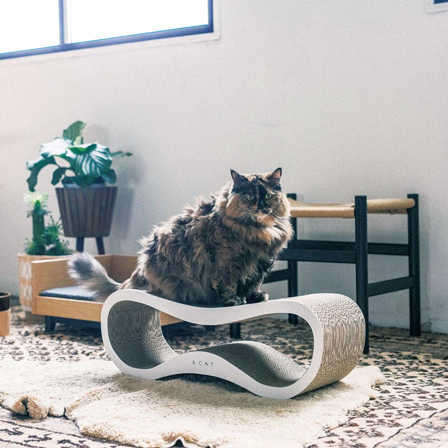 &CAT | SCRATCHER LOUNGE type A white｜【公式】ACTUS online