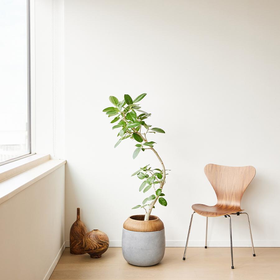 NODERIUM | プランターカバー 蓋付き（直径36cm）グレー｜【公式