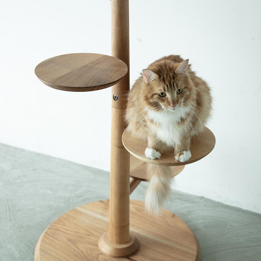 【ほぼ未使用】&CATキャットタワーKINOBORI / cat tower KINOBORI ｜ 猫と暮らす、無垢材のキャットタワー。インテリアに