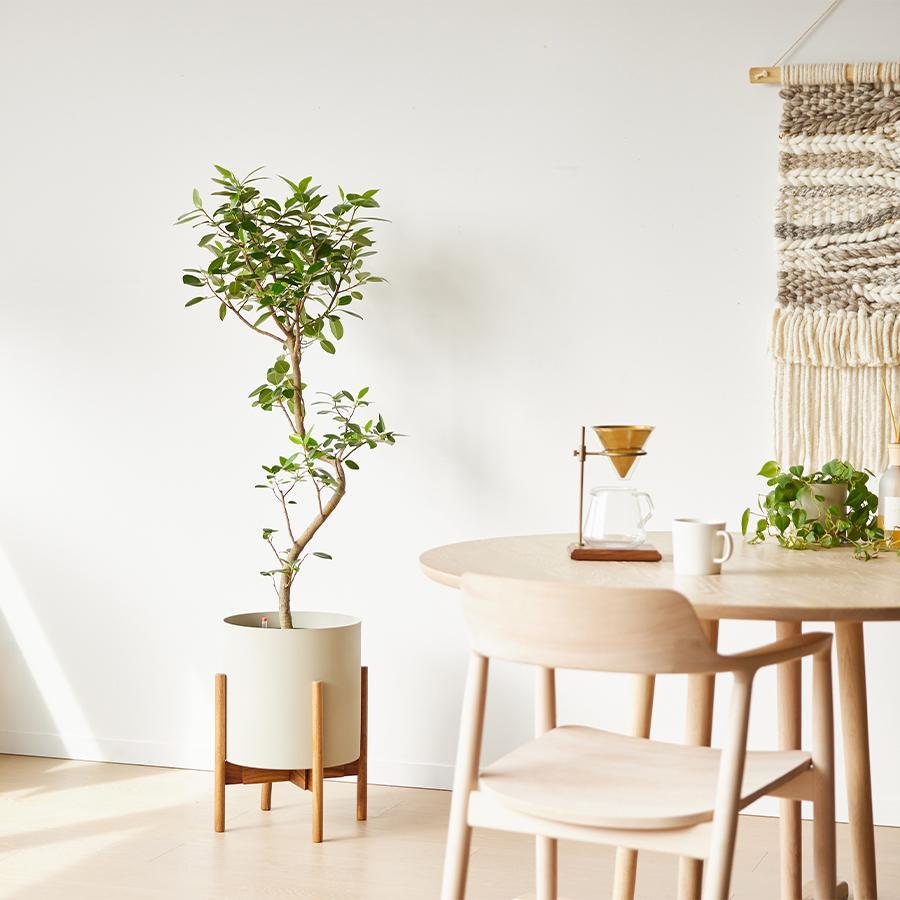 ACTUS（アクタス）YAMATEI　フェルムシリンダー　直径31cm YAMATEI | プラントポット/フェルム シリンダー （直径31cm