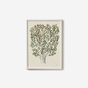 一点物】coricci | 想像の木1 21 x 29.7cm (原画)｜【公式】ACTUS