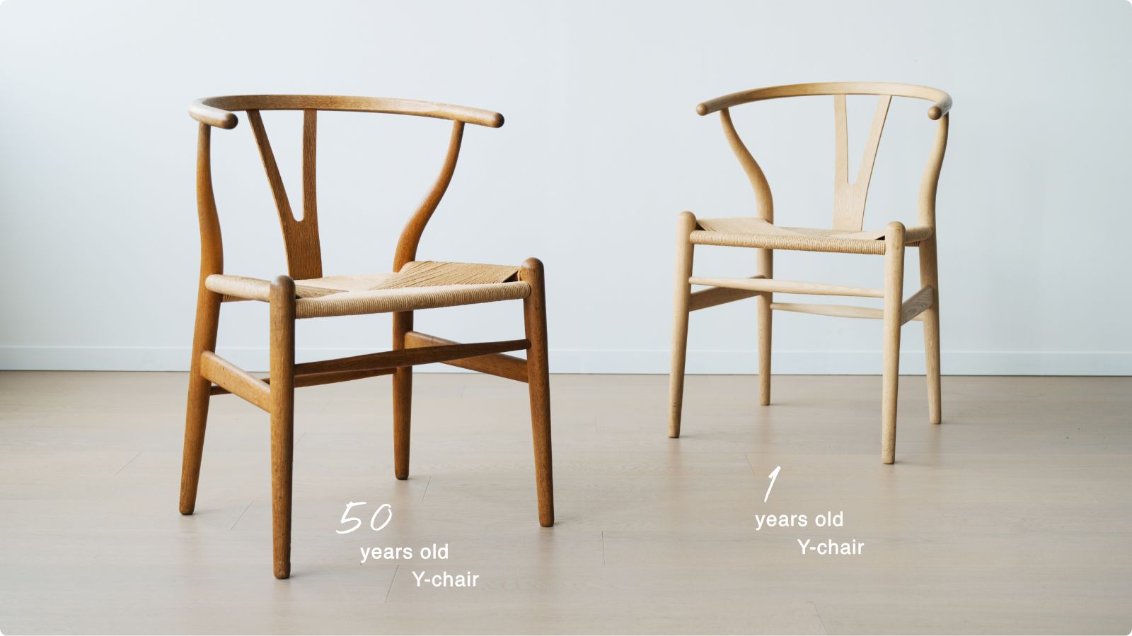 CARL HANSEN&SON | CH24 Yチェア ウォールナット材 オイルフィニッシュ / ブラックペーパーコード｜【公式】ACTUS  online｜家具・インテリア・雑貨の通販