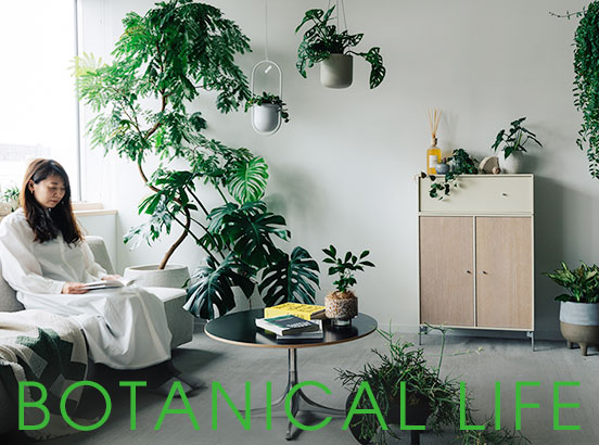BOTANICAL LIFE | 植物のある暮らし はじめませんか？