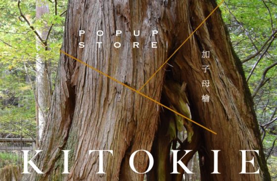 心と体を整えるセルフケア