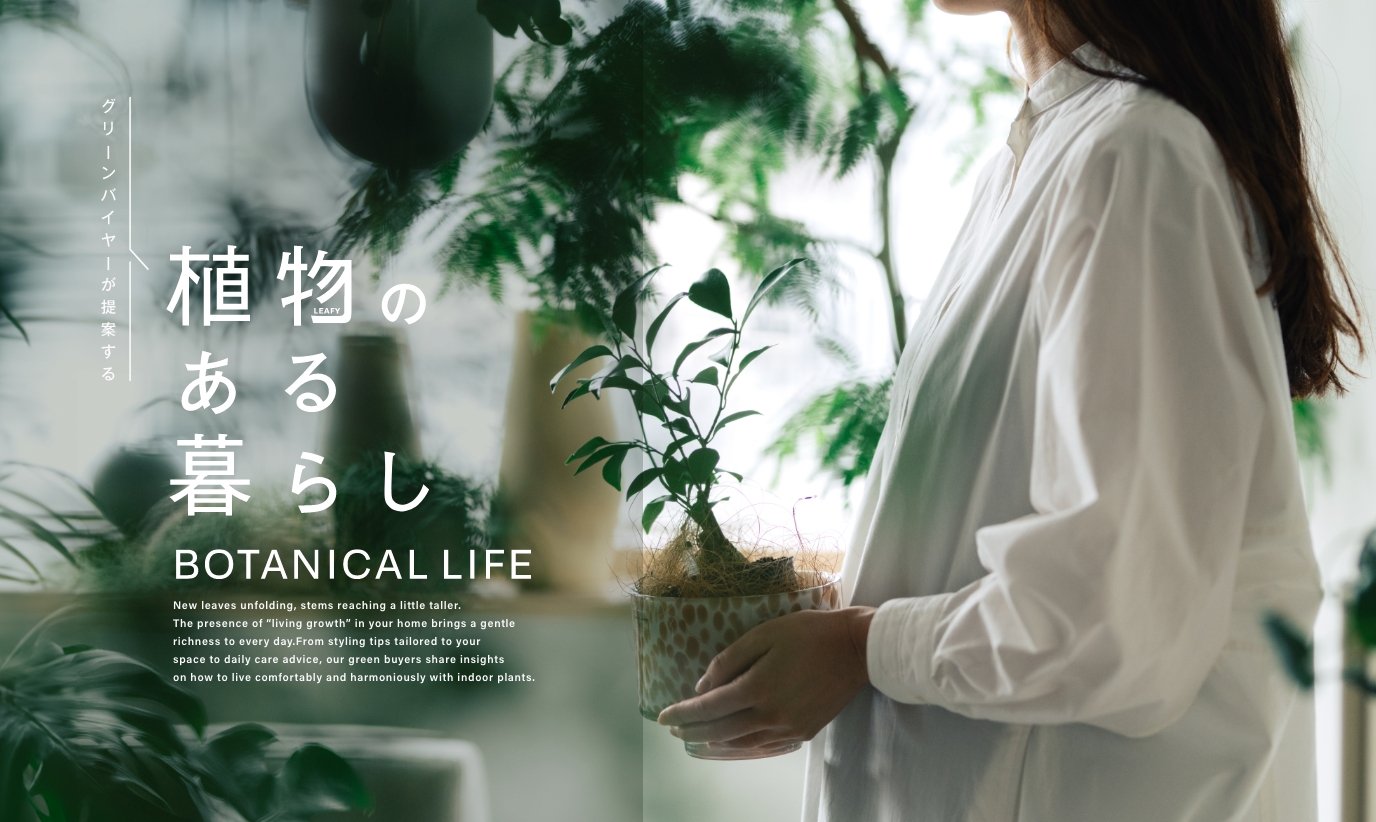 植物のある暮らし