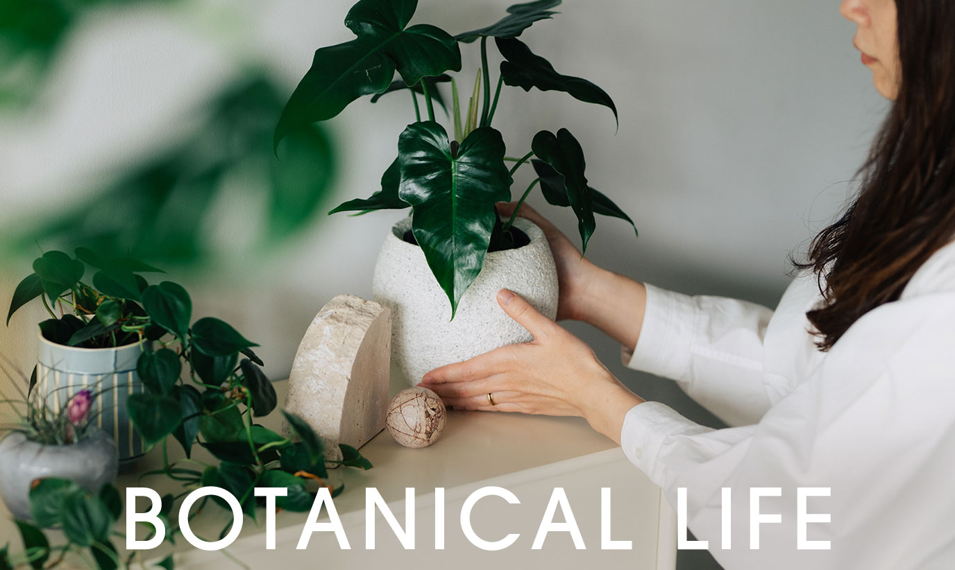 BOTANICAL LIFE