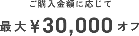 ご購入金額に応じて、最大¥30,000オフ