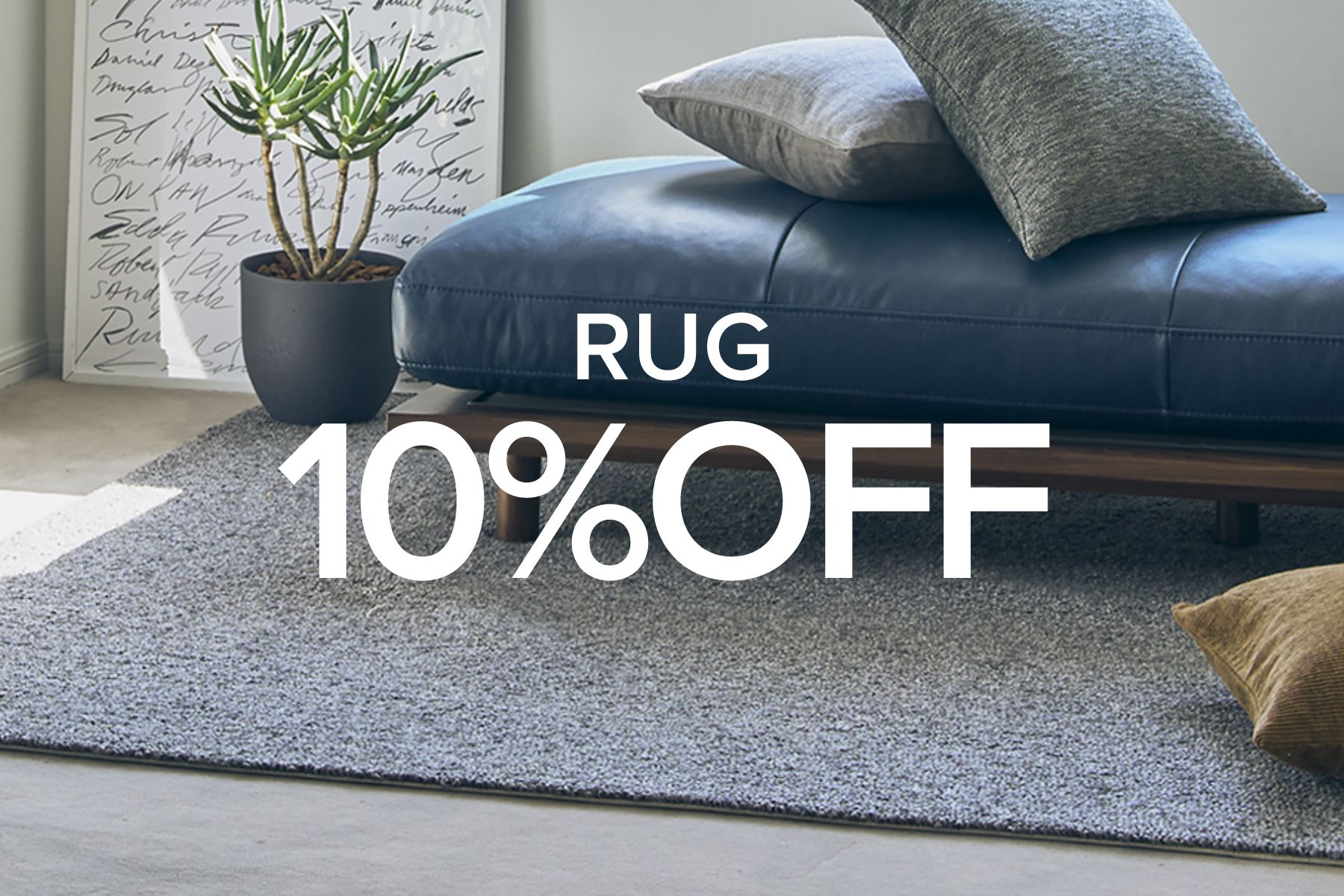 RUG 10% OFF