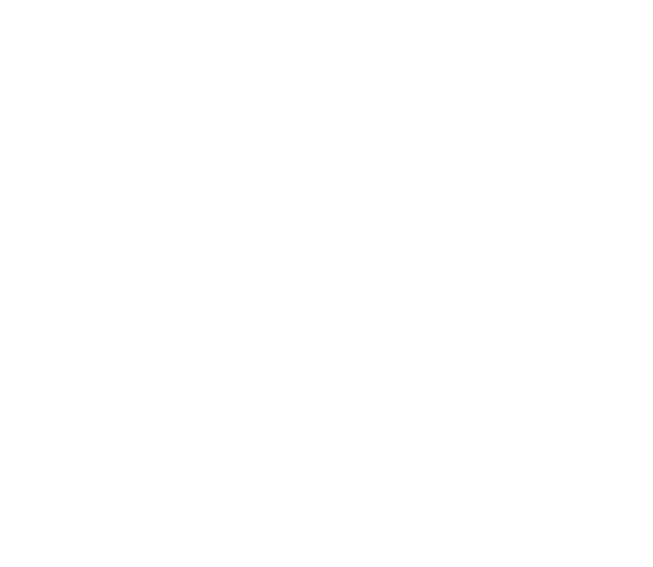 The COTTON TOWEL