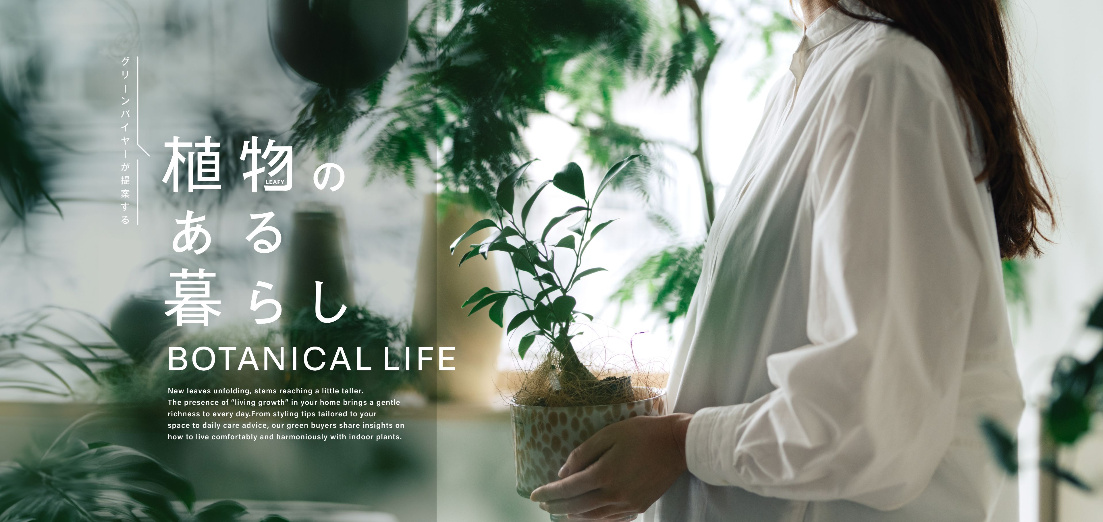 植物のある暮らし｜【公式】ACTUS online