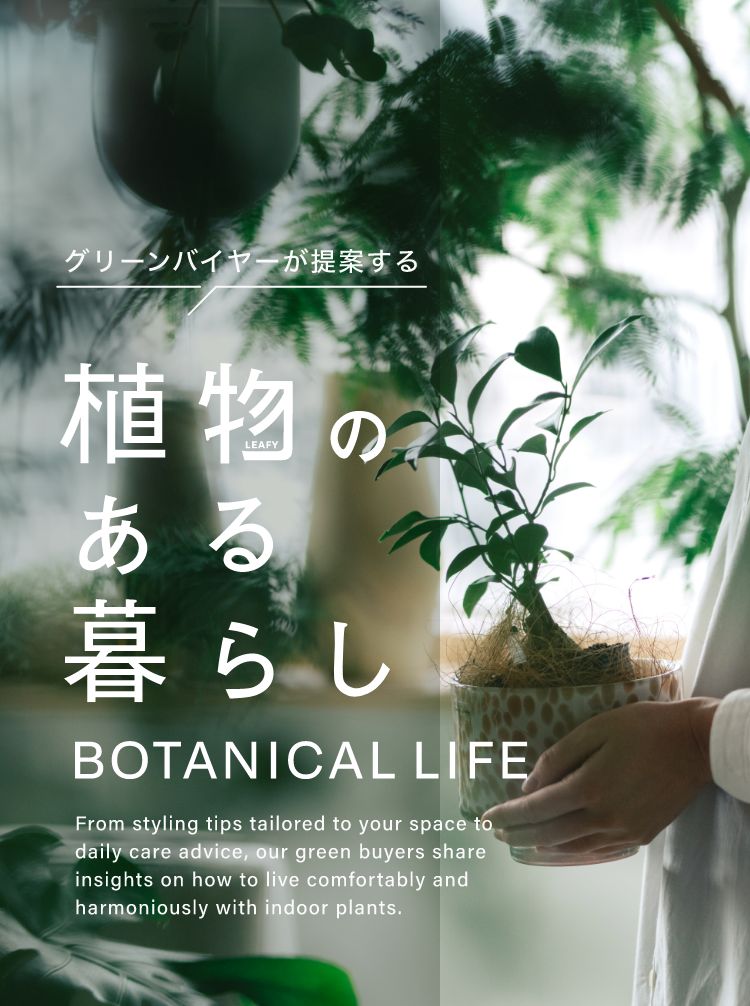 植物のある暮らし｜【公式】ACTUS online