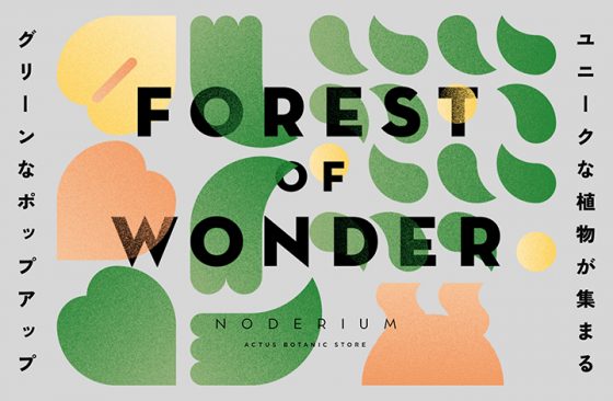FOREST OF WONDER
