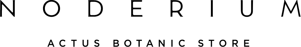 NODERIUM ACTUS BOTANIC STORE