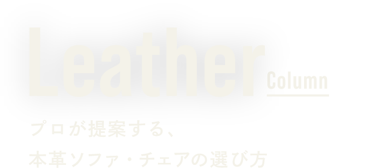 Leather Column プロが提案する、本革ソファ・チェアの選び方