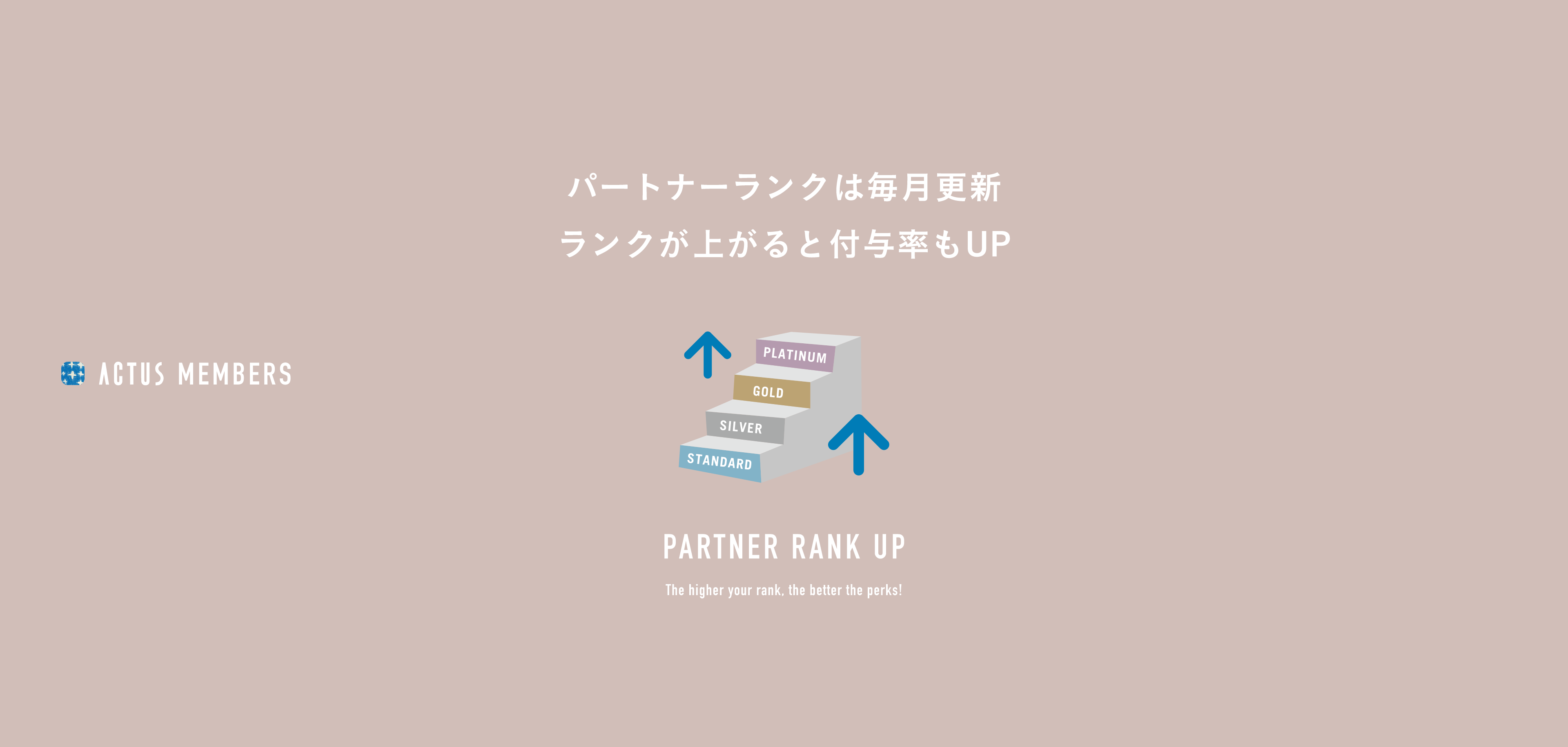 パートナーランクは毎月更新ランクが上がると付与率もUP