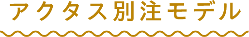 アクタス別注モデル