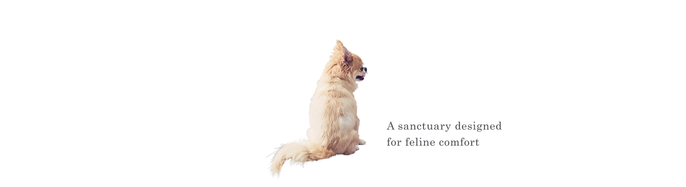 A sanctuary designed for feline comfort
