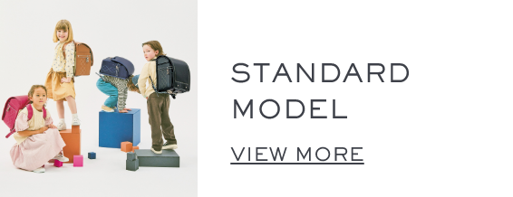 STANDARD MODEL