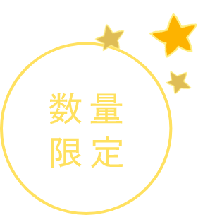 数量限定