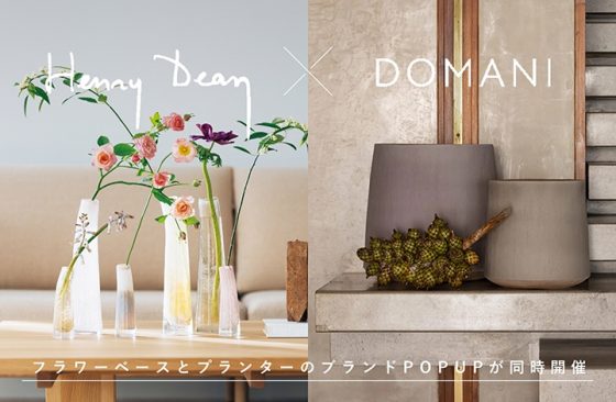 終了〉DOMANI（ドマーニ）×HENRY DEAN（ヘンリーディーン） POP