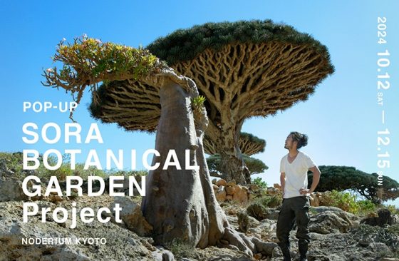 〈終了〉ノードリウムでしか手に入らない「そら植物園」の植物が集結！　POP UP STORE / ショップイベント