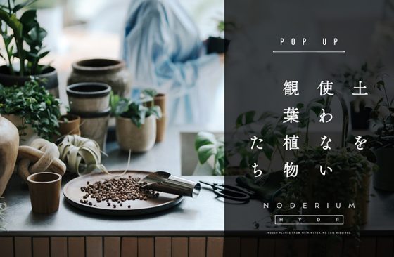 土を使わないハイドロカルチャー　POP UP STORE / ショップイベント