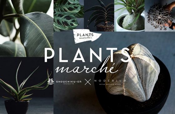 PLANTS marché（プランツマルシェ）POP UP STORE / ショップイベント