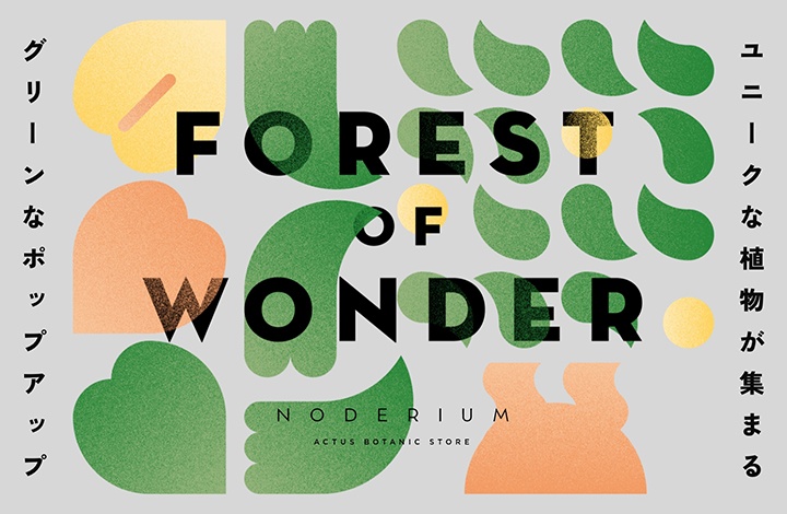 〈終了〉FOREST OF WONDER（フォレストオブワンダー）　POP UP STORE / ショップイベント