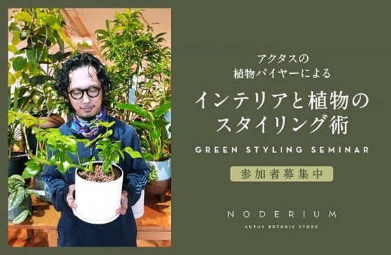 〈終了〉インテリアと植物のスタイリング術セミナー　SEMINAR / セミナー